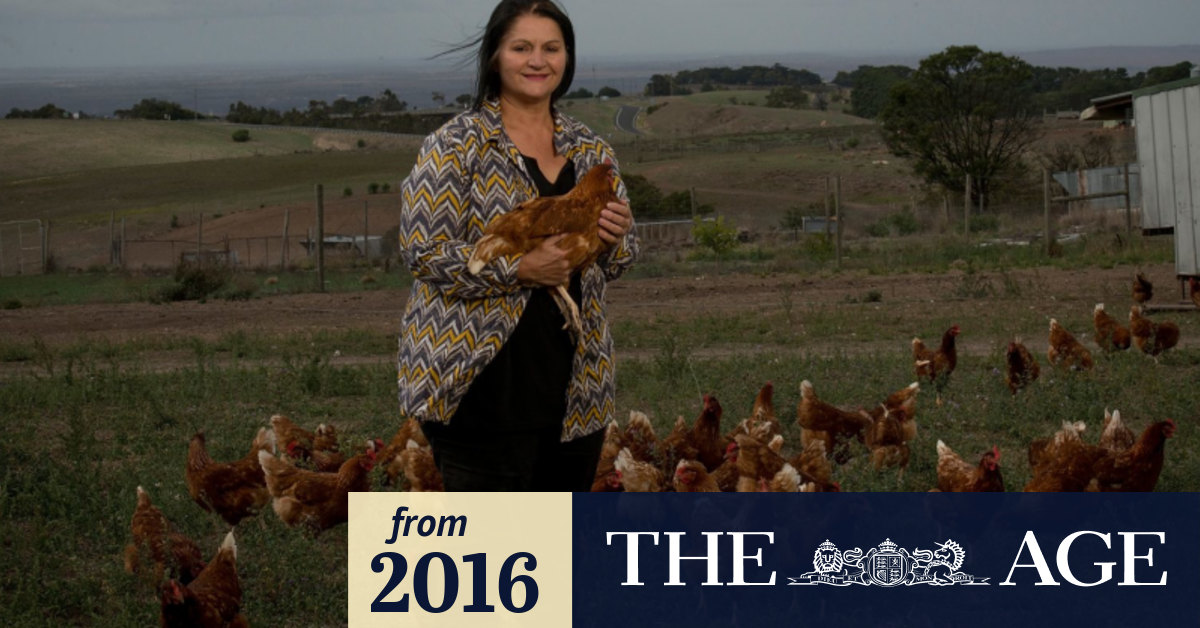 Free range? Will the chickens come home to roost on new agreement
